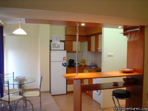 Apartment Kitcken | Cristal Accommodation in Bucharest apartments | Bucharest, Romania | Bed & Breakfasts | Image #1/13 | 