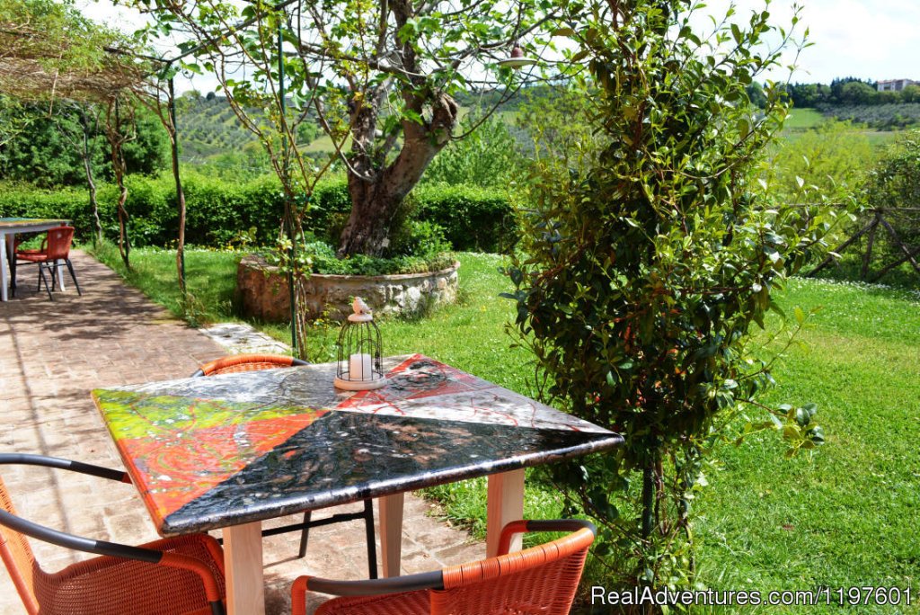 The garden in the cooking school | 5 Days Italian Cooking Holidays in Italy | Image #20/26 | 