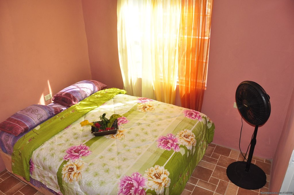 Fish Tobago guest house | Image #15/15 | 