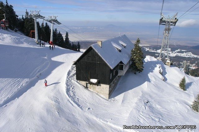 Go skiing at Poiana Brasov! | Luxury Holiday Villa in a Private Mountain Resort | Image #15/17 | 