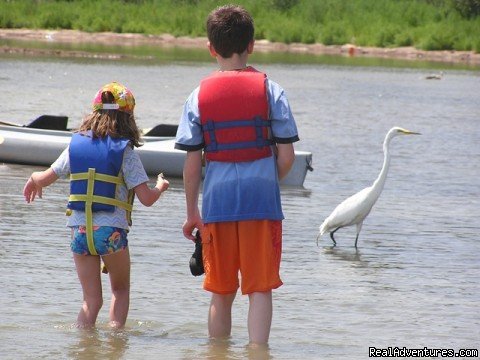 Curious Egret | A Day Away Kayak Tours | Image #10/11 | 