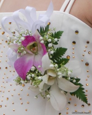 AlohaEverAfter | Kauai, Hawaii | Destination Weddings