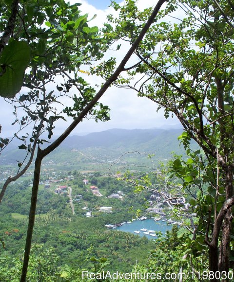 Top of the Martinique trail