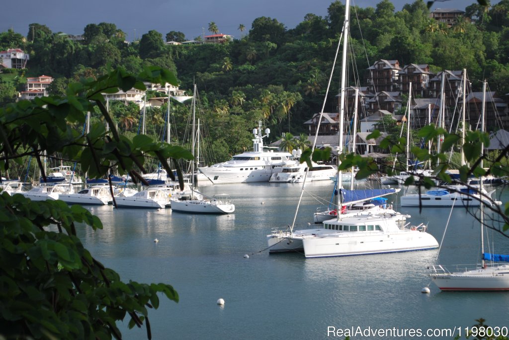 Marigot - the most famous harbour in the Caribbean | Mango Beach Inn, Adventure Lodge | Image #14/26 | 