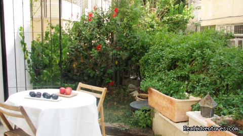 Private Garden - Garden Apartment in the Center of Tel Aviv - mediterranean coast: tel aviv israel vacation rentals tel aviv
