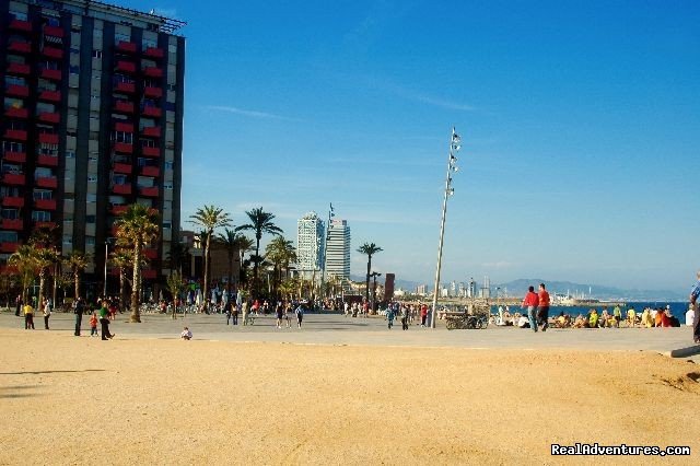 Barcelona Beach | Experts tours in and around Barcelona | Image #3/8 | 