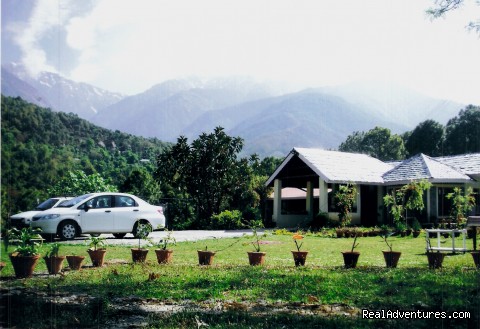 Pic ranges - TaraVilla-Tea Tourism Homestay Resort - himachal pradesh: kangra india bed & breakfasts palampur kangra valley