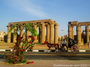 Habibitours | Cairo, Egypt | Sight-Seeing Tours