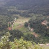 Jungle Greens Home Stay, junglegreen homestay Jungle Greens Home Stay, junglegreen homestay
