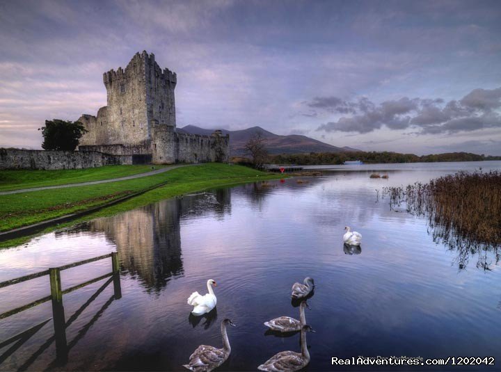 Kathleens Country House Loves nearby Ross Castle | Kathleens Country House The Best Irish Hospitality | Image #13/16 | 
