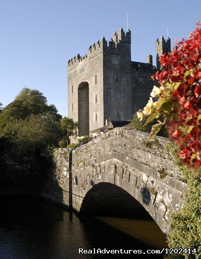 Bunratty Castle & bridge view  | Bunratty Castle & Folk Park | Shannon, Ireland | Museums & Art Galleries | Image #1/7 | 