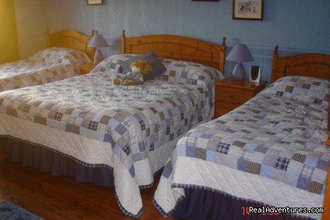 Our Family Room - Award Winning Stirabout Lane B&B - southwest: county wicklow ireland bed & breakfasts co. wicklow