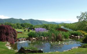 Enjoy the Great Outdoors at Fox Hill B&B Suites | Fairfield, Virginia | Bed & Breakfasts