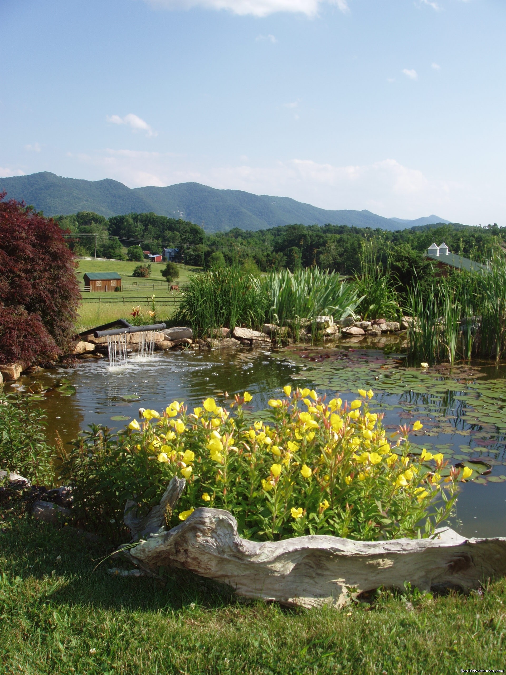 Enjoy The Great Outdoors At Fox Hill B&B Suites, Fairfield, Virginia ...