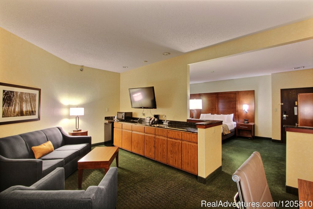 Executive Corner Suite | Comfort Suites Appleton Airport | Image #8/12 | 
