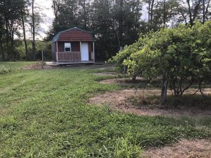 Trout Springs Winery - Glamping Site Available