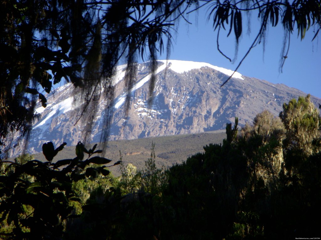 Kilimanjaro image | Kilimanjaro climbing, Kenya climbing, safari in Ta | Image #2/2 | 