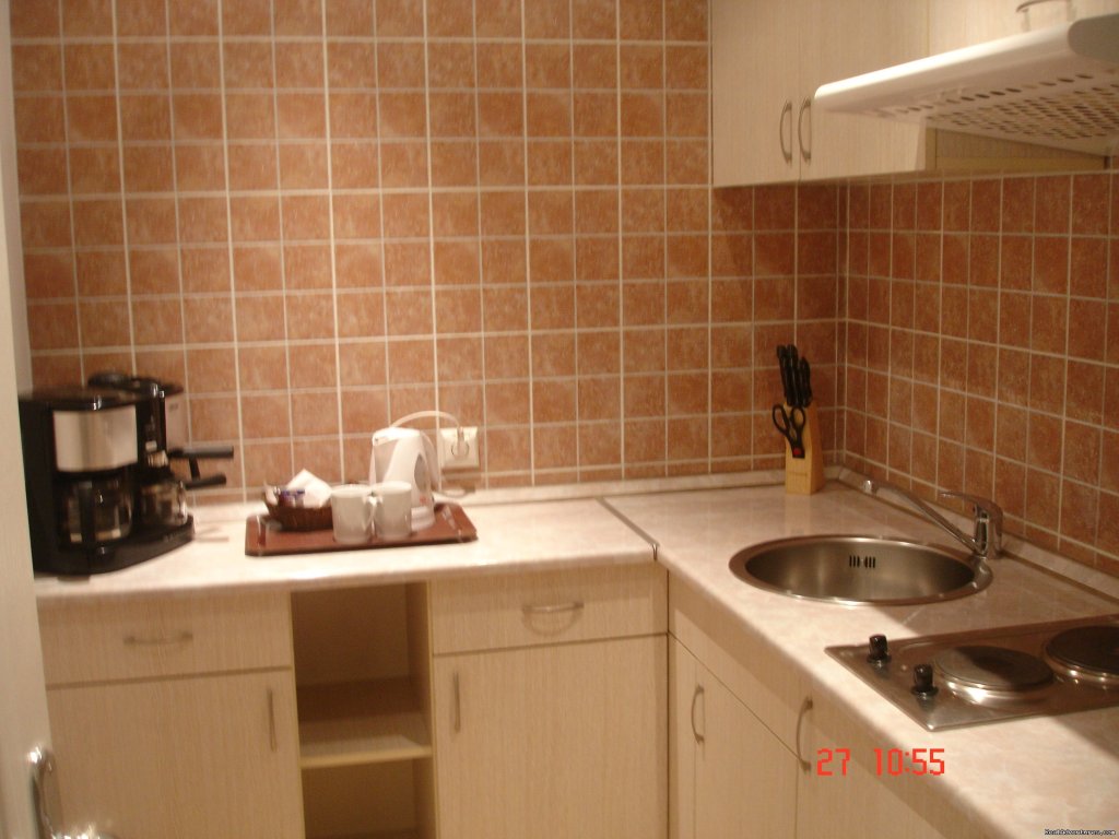 VIP - apartment kitchen | Residence Hirscher | Image #9/10 | 