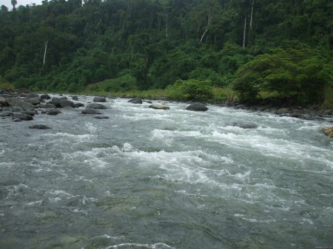 Tina river, Central Guadalcanal