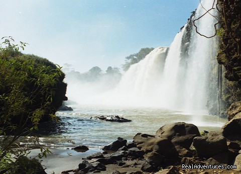 The Blue Nile falls - Edenland Tour and Travel Ethiopia - ethiopia ethiopia sight-seeing tour addis ababa
