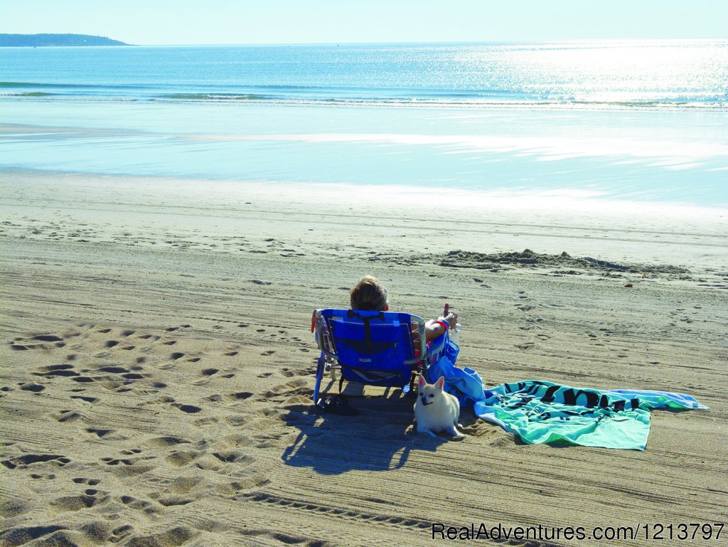 Alouette Beach Resort | Image #5/16 | 