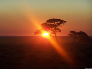 Bluecrane Safaris Namibia | Windhoek, Namibia Wildlife & Safari Tours | Great Vacations & Exciting Destinations
