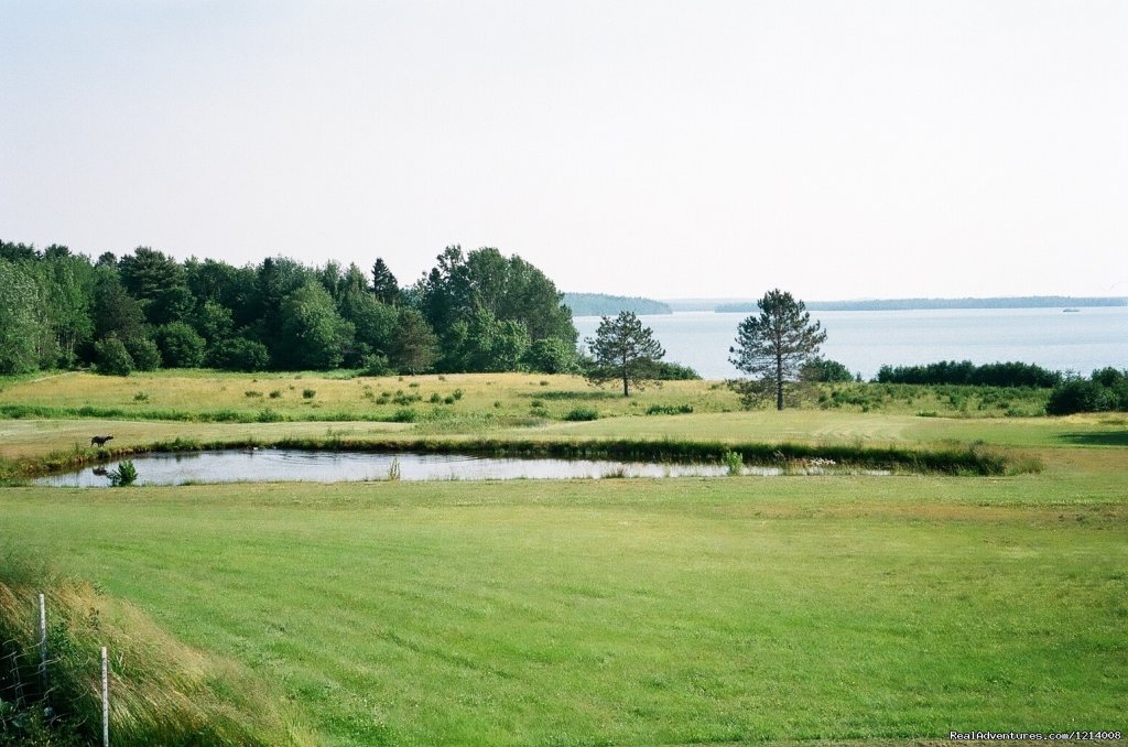 Pond with Bay in background | Serene with breathtaking views at Capt'n N Eve's | Image #3/8 | 