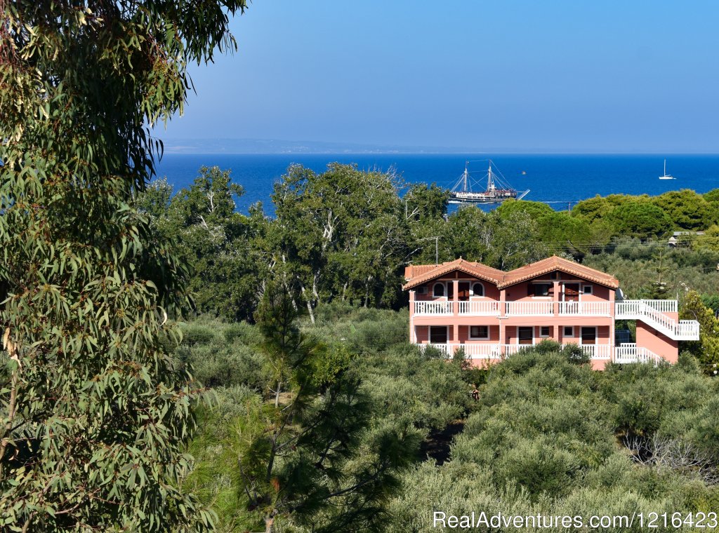Arazzo Apartments | Zakynthos Holidays/Arazzo Villa rental | Zakynthos, Greece | Vacation Rentals | Image #1/14 | 