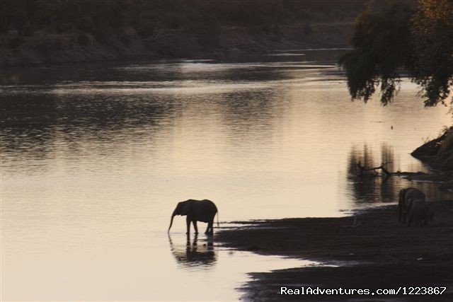 Elephants at dawn, South Luangwa | Malawian Style - Safari, Mountain, Lake Adventures | Image #15/23 | 