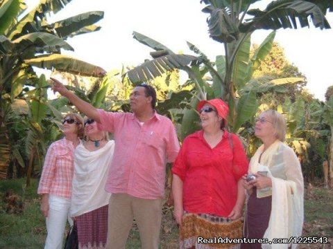 Banana island tour