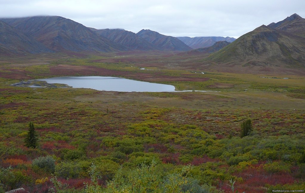 along the Dempster Highway | Bird Watching Tour in Yukon Canada | Image #2/6 | 