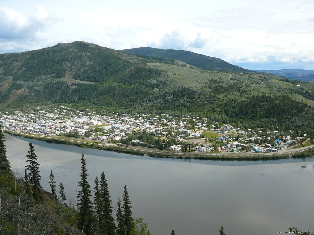 Dawson City | Bird Watching Tour in Yukon Canada | Image #6/6 | 