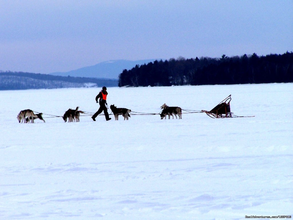 February Hosts the 100 mile dog sled race | Mooseheadchalet | Image #5/7 | 