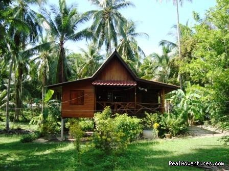 Jungle Resort bungalows | Image #6/6 | 