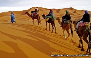 Trekking In Morocco | Ourzazate, Morocco | Sight-Seeing Tours