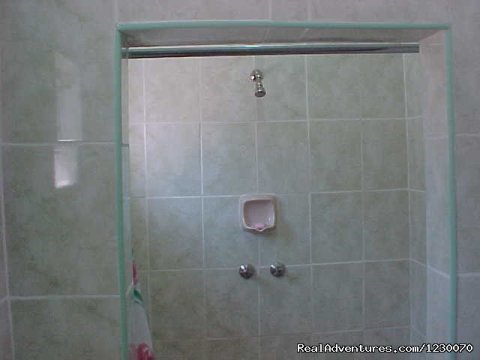 Room 8 Shower