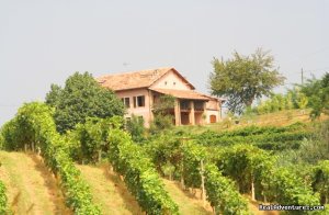 Romantic guesthouse among wine hills | Vaglio Serra, Italy | Bed & Breakfasts