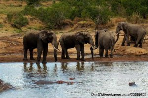 Three Days Tsavo Best Safari