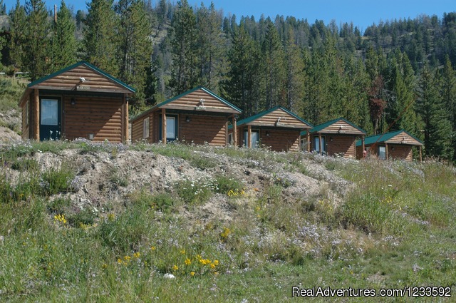 Image 11 14 Historic Cabins With Modern Amenities Your