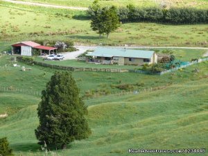 Baldrock View Farmstay | Kaiwaka, New Zealand | Bed & Breakfasts