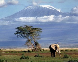 Climbing kilimanjaro tours, trekking in Tanzania | Arusha, Tanzania | Hiking & Trekking