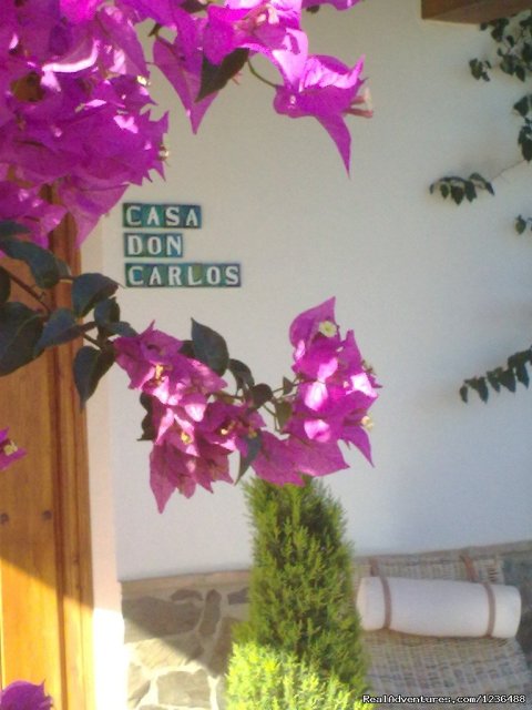 Welcome to Bed & Breakfast Casa Don Carlos