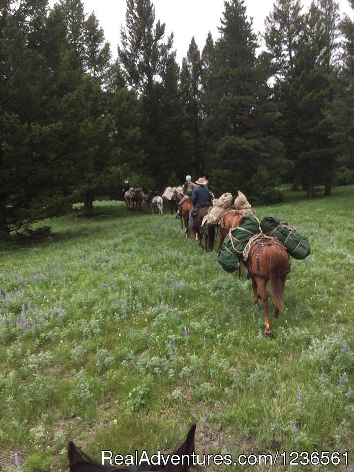 Guide School Students on a trail ride | Elm Outfitters & Guides Training Program | Image #2/7 | 