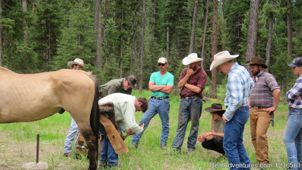 Learning to shoe | Elm Outfitters & Guides Training Program | Image #3/7 | 