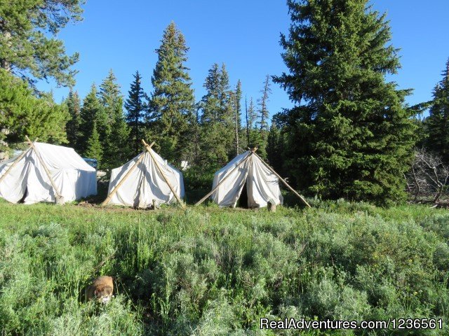Great  sleeping quarters while at guide school | Elm Outfitters & Guides Training Program | Image #5/7 | 
