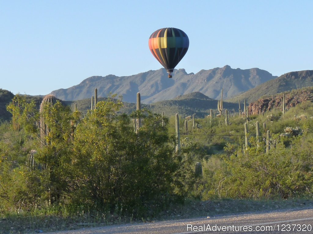 Tucson Mountains/Saguaro National Park West | Tucson Mountain Balloon Rides with Fleur de Tucson | Image #2/2 | 