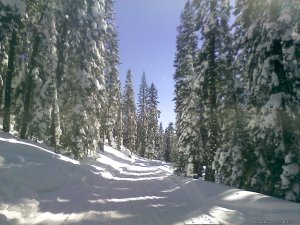 Ride The Volcano Snowmobile Mt Shasta, Ca. | Weed, California Snowmobiling | Great Vacations & Exciting Destinations