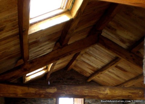 Chestnut wood exposed ceilings