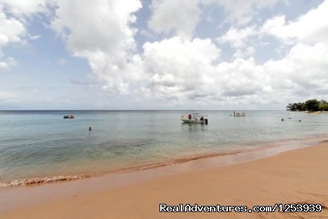 Amazing Barbados Vacation Rentals | Image #13/26 | 