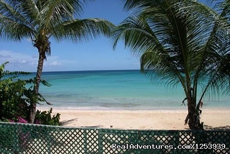 Amazing Barbados Vacation Rentals | Image #15/26 | 